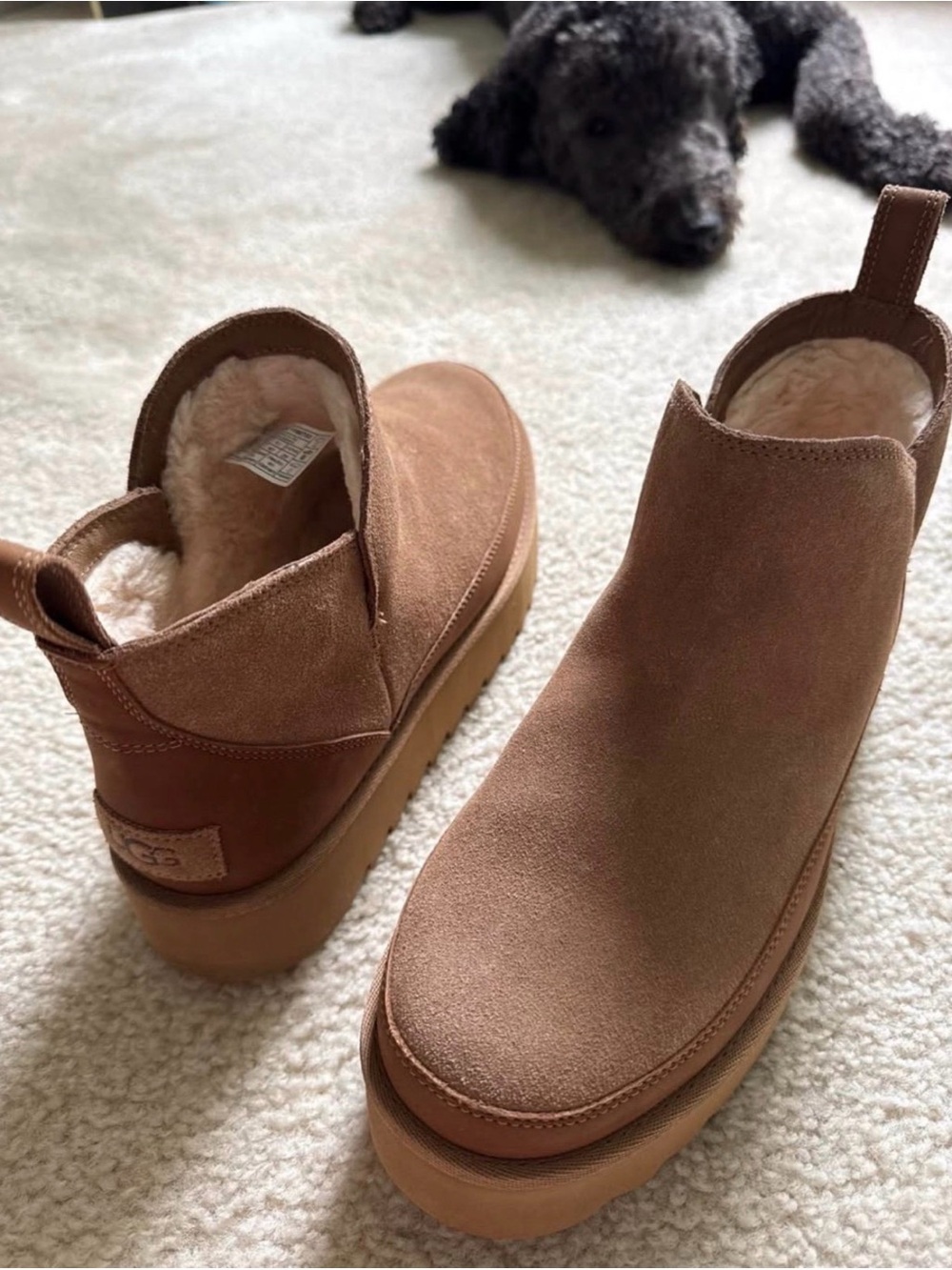 UGG Women's Chestnut Suede Platform Chelsea Bootie with Shearling Lining